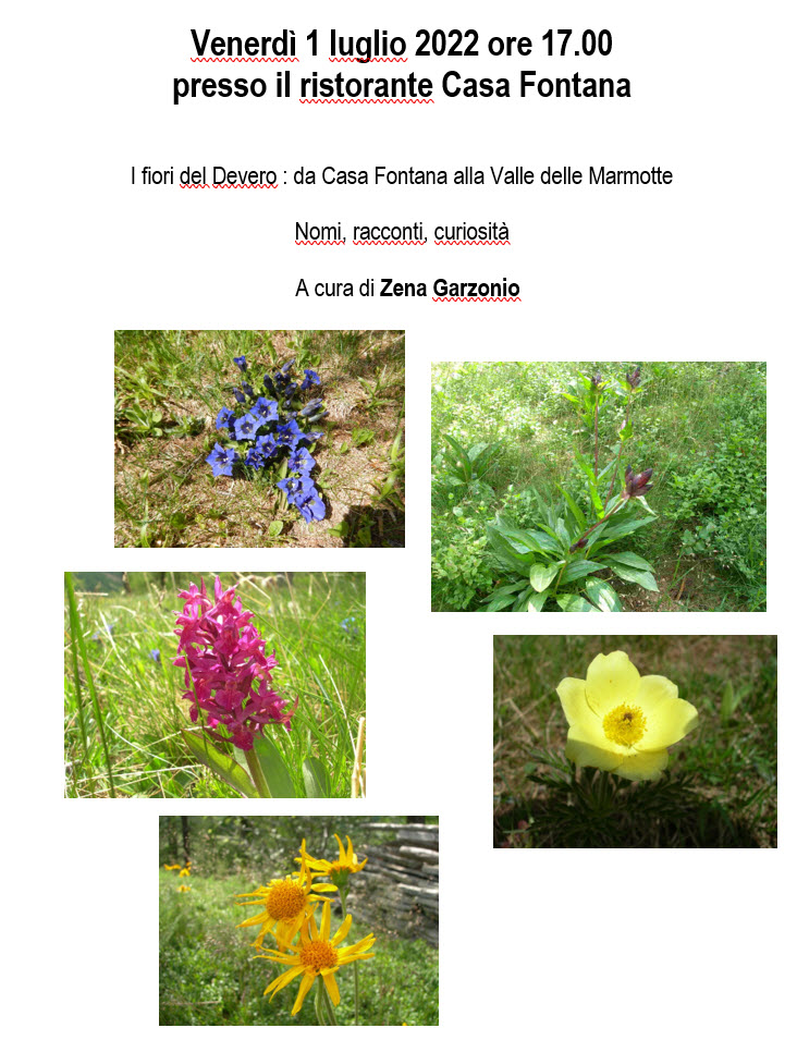Fiori del devero